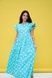 Cotton maxi sundress in mint with "Geese" print