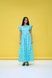 Cotton maxi sundress in mint with "Geese" print