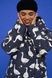 Women's dark blue winter down jacket with a 'Geese' print